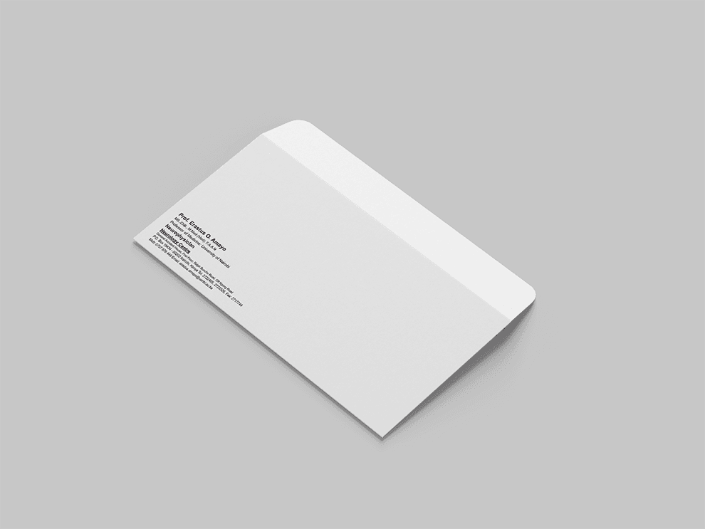 DL Envelope